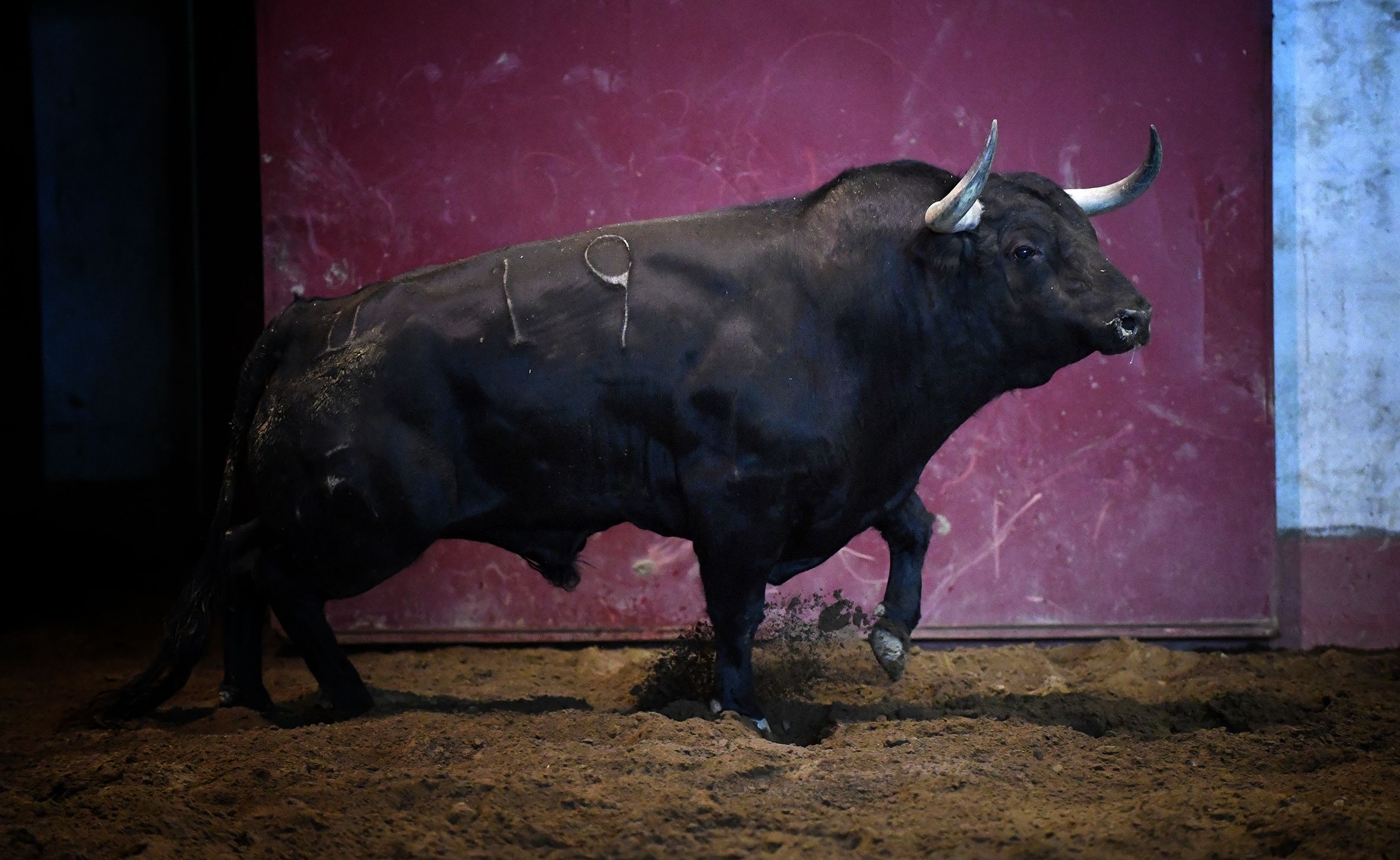 San Sebastián - Corrida de toros - Sorteo - Domingo 12 de agosto de 2018