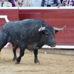 Tarazona de la Mancha, 26 de agosto de 2018