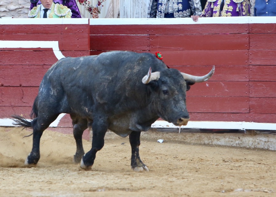 Tarazona de la Mancha, 26 de agosto de 2018
