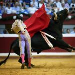 San Sebastián. Martes, 14 de agosto.