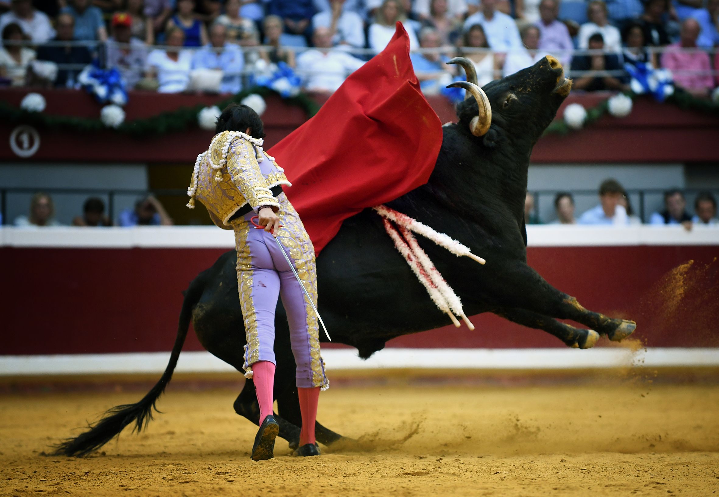 San Sebastián. Martes, 14 de agosto.