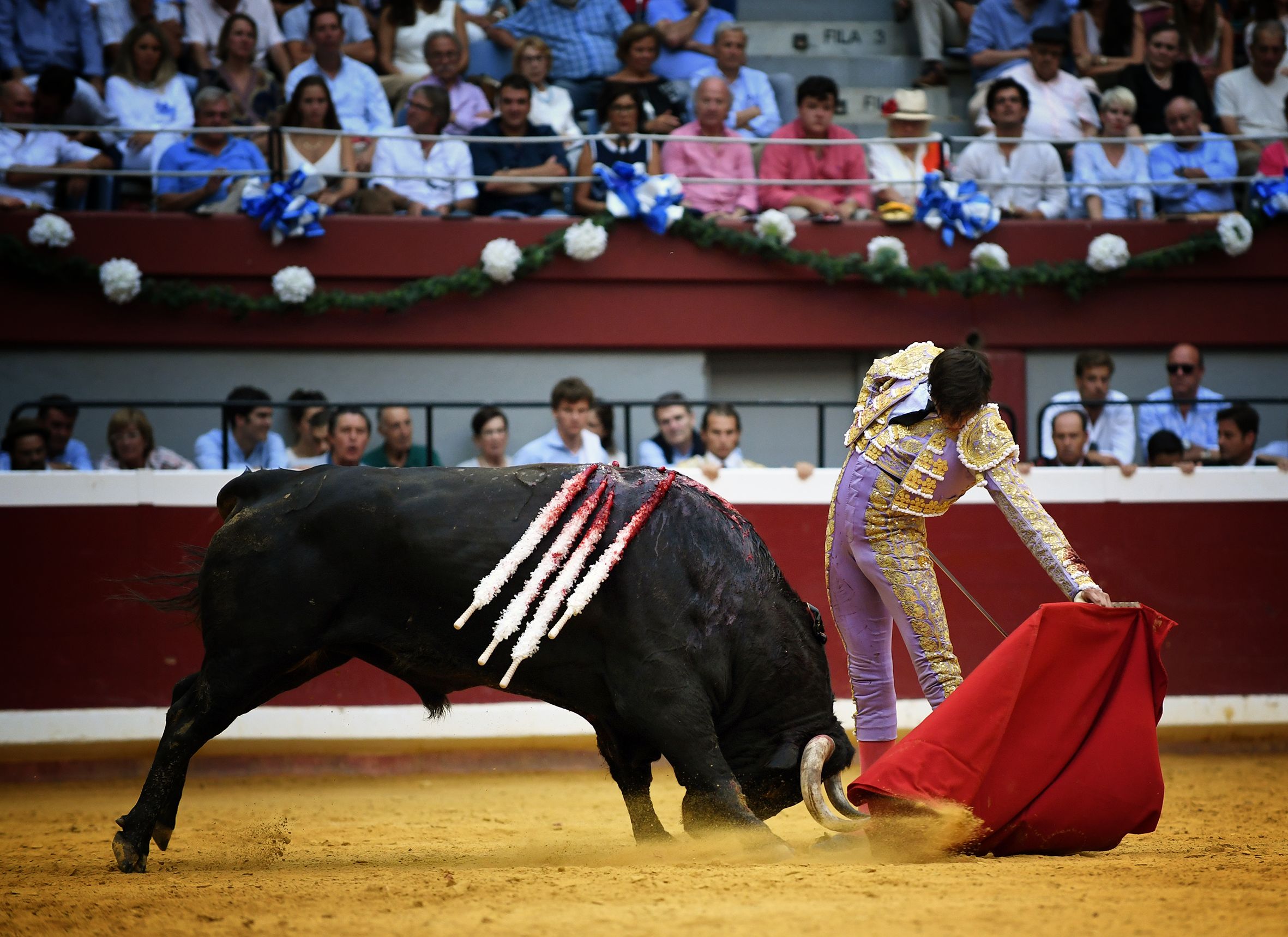 San Sebastián. Martes, 14 de agosto.