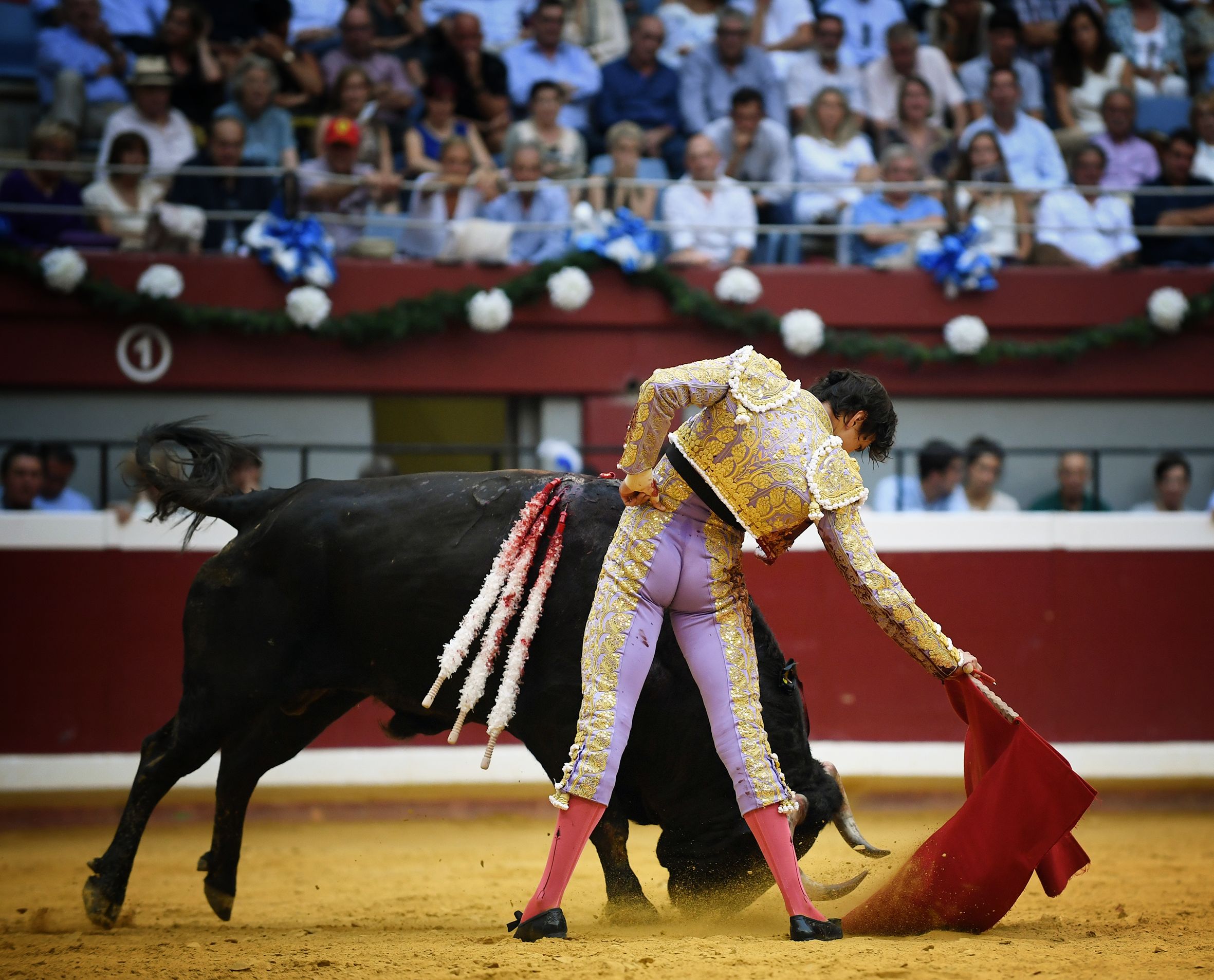 San Sebastián. Martes, 14 de agosto.