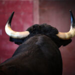 Toros de Victoriano del Río para San Sebastián. 14 de agosto de 2018