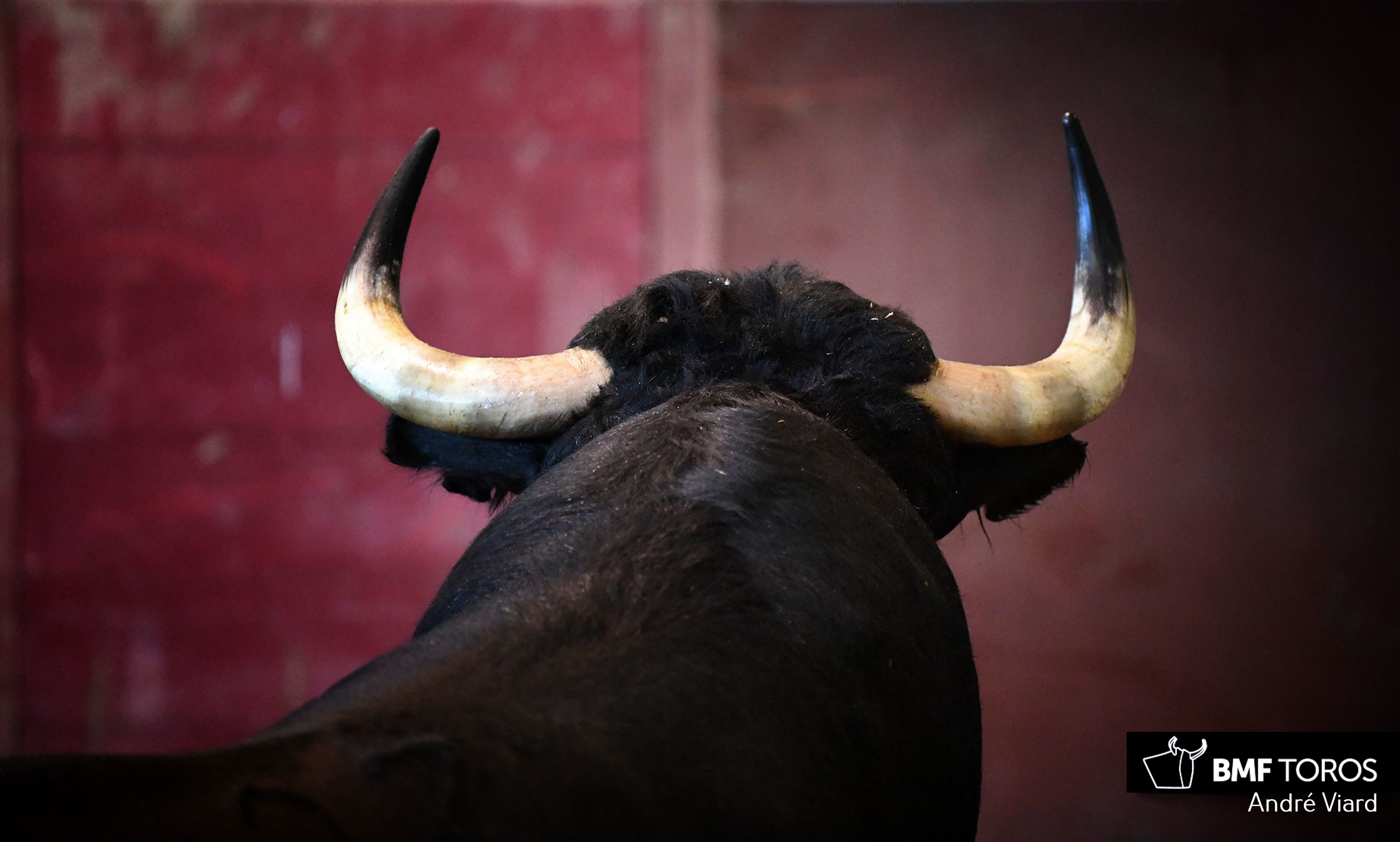 Toros de Victoriano del Río para San Sebastián. 14 de agosto de 2018