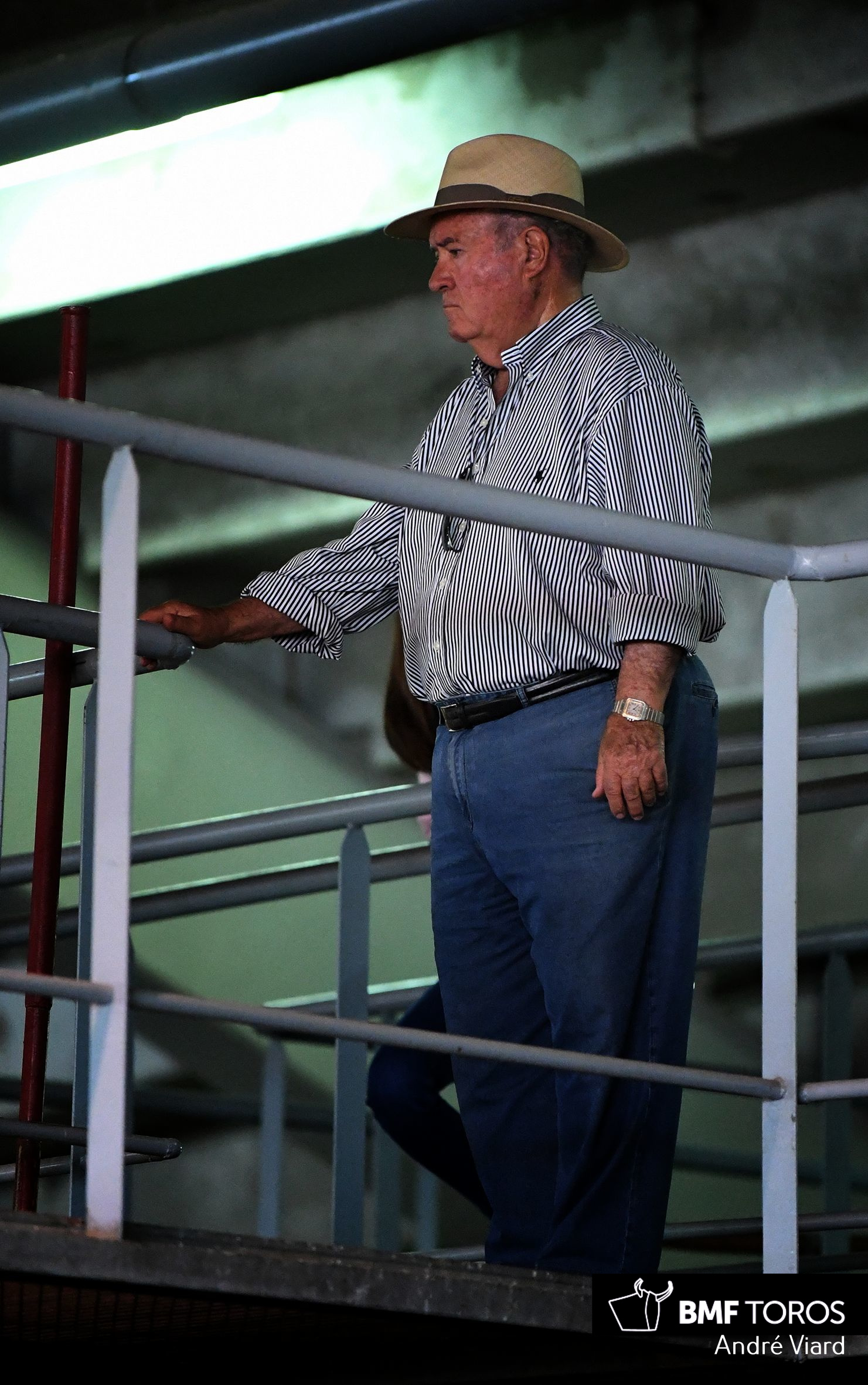 Toros de Victoriano del Río para San Sebastián. 14 de agosto de 2018