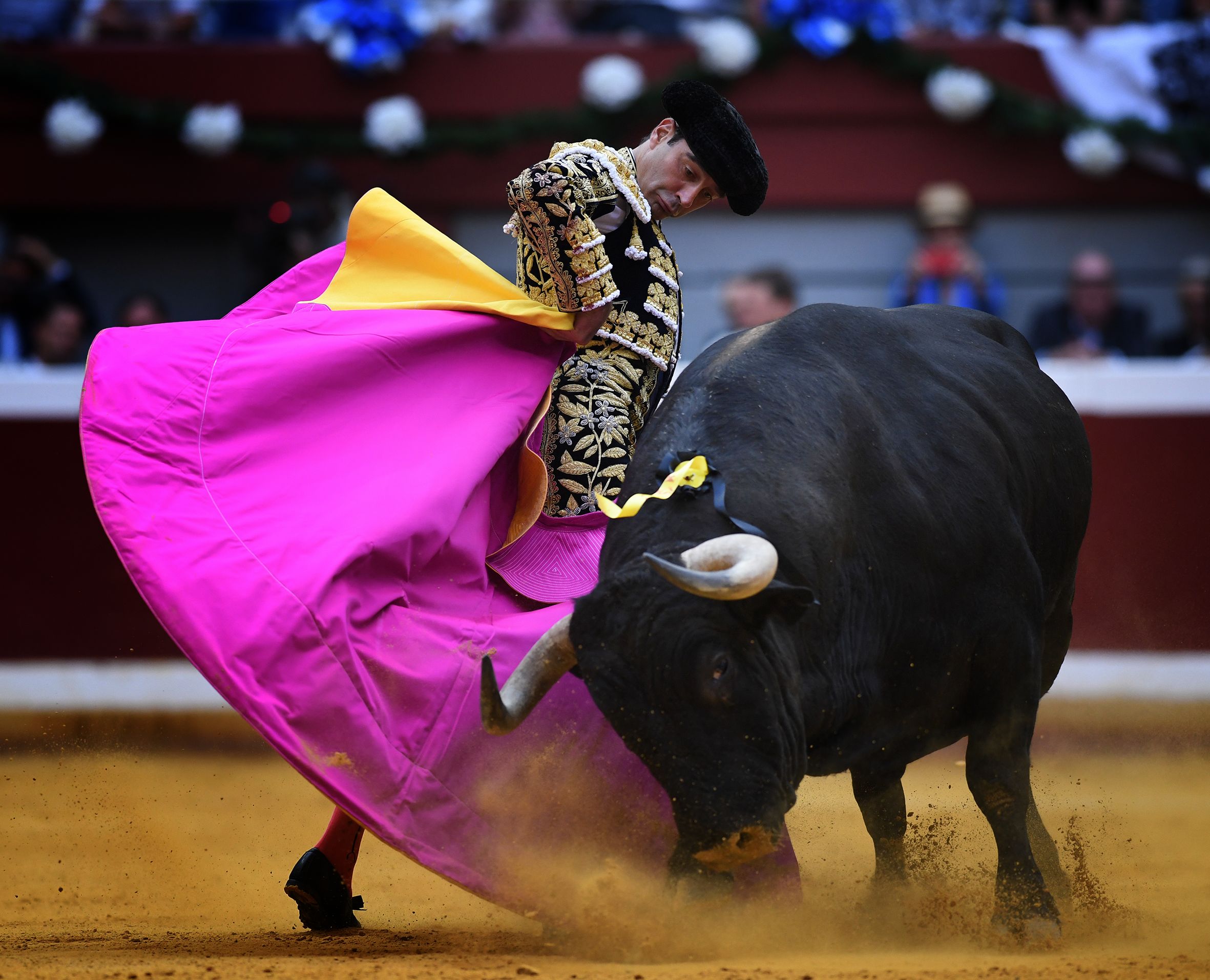 San Sebastián. Martes, 14 de agosto.