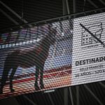 San Sebastián. Martes, 14 de agosto.