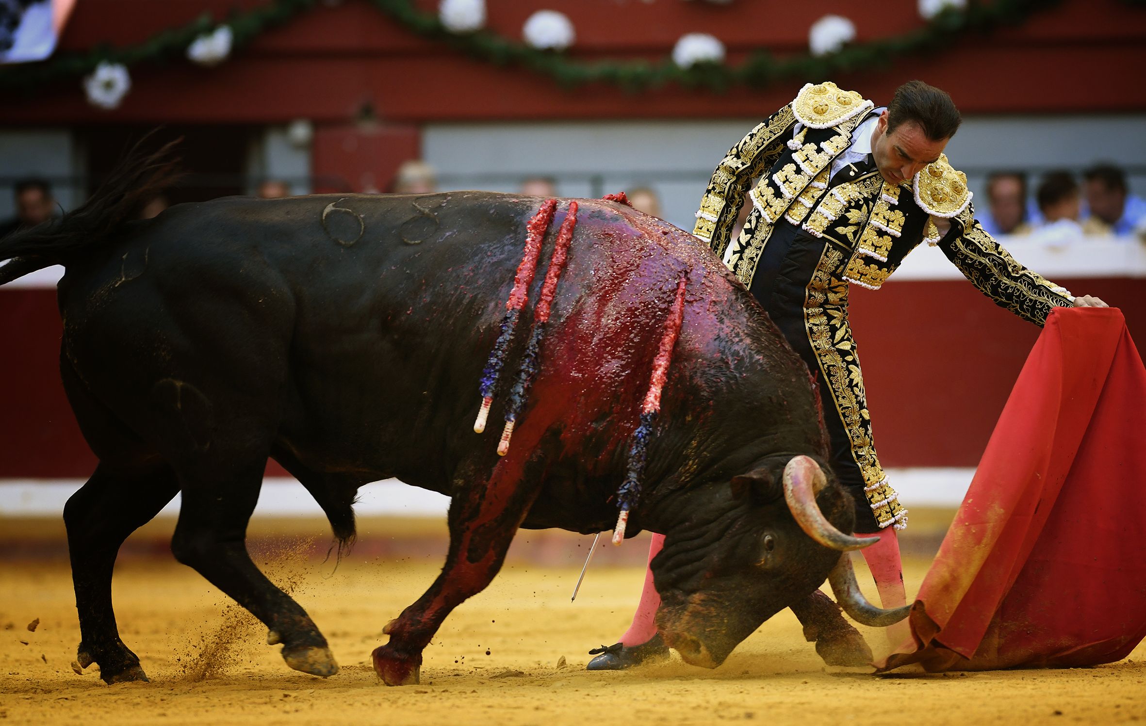 San Sebastián. Martes, 14 de agosto.