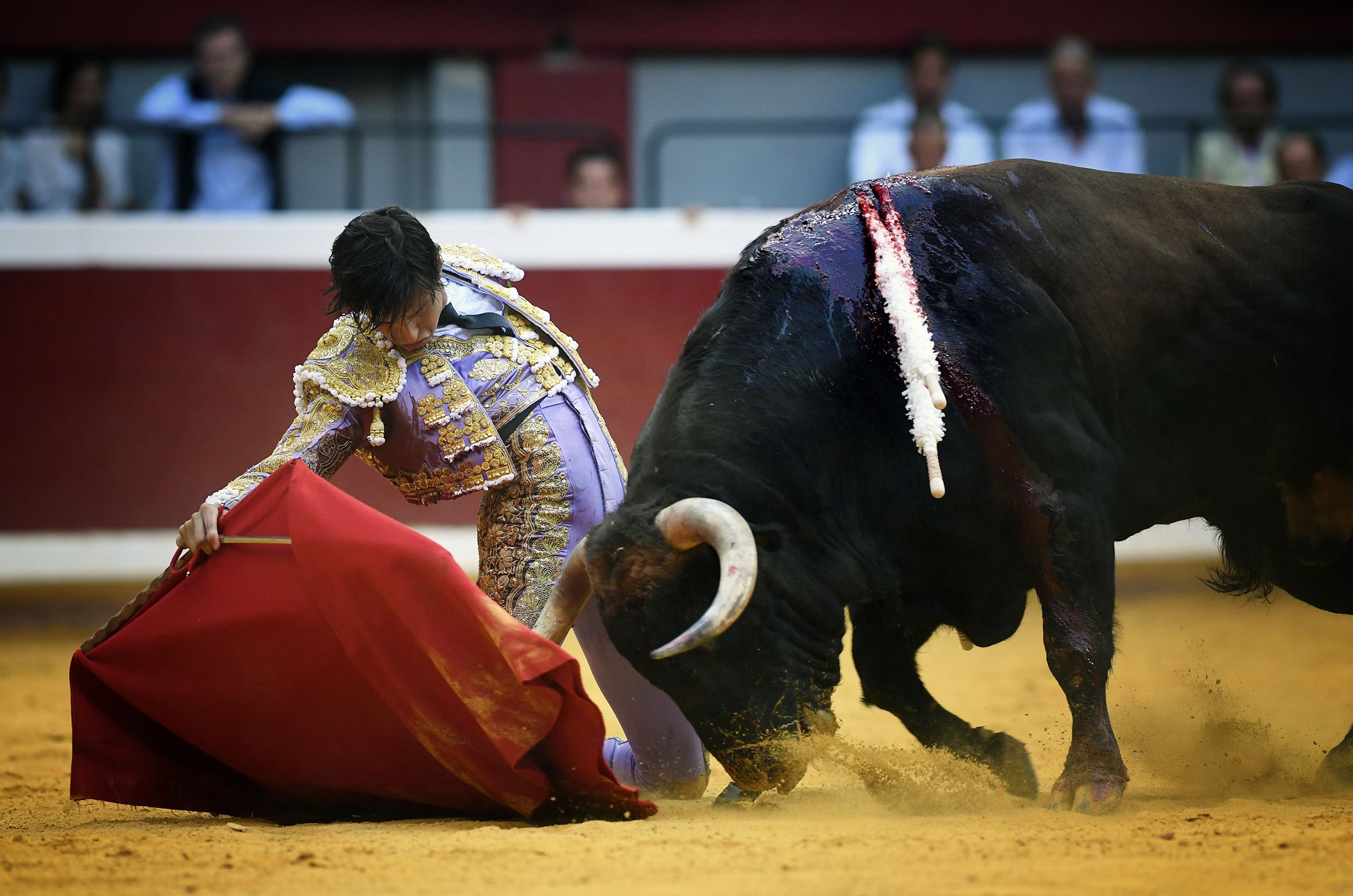 San Sebastián. Martes, 14 de agosto.