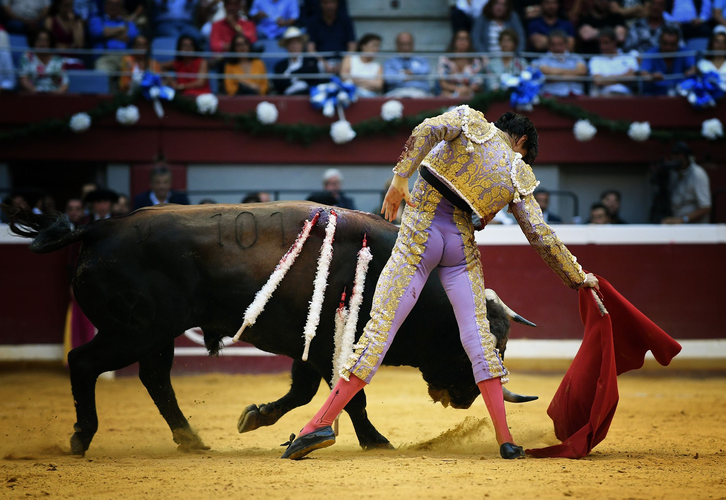 San Sebastián. Martes, 14 de agosto.