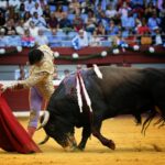 San Sebastián. Martes, 14 de agosto.