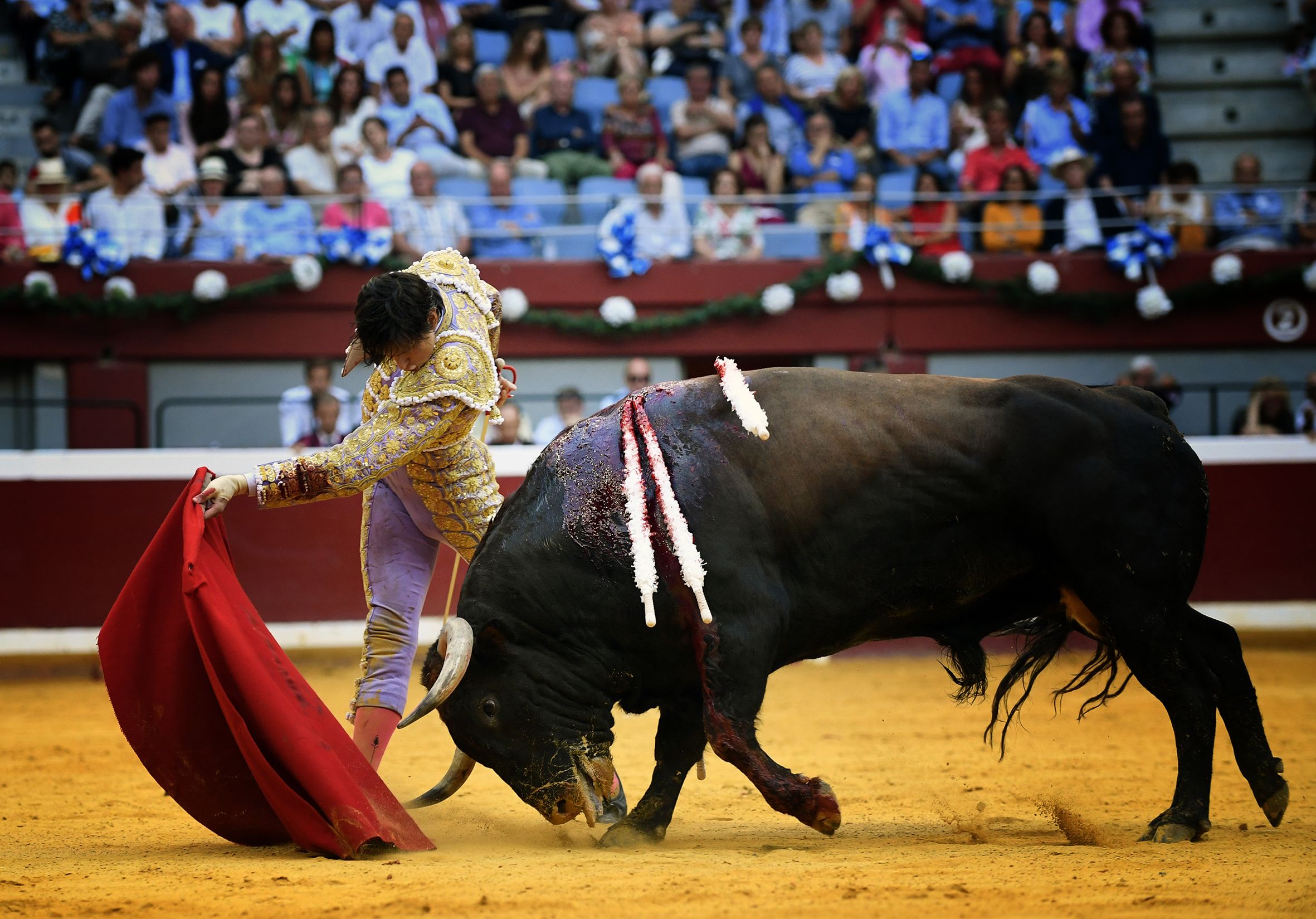 San Sebastián. Martes, 14 de agosto.
