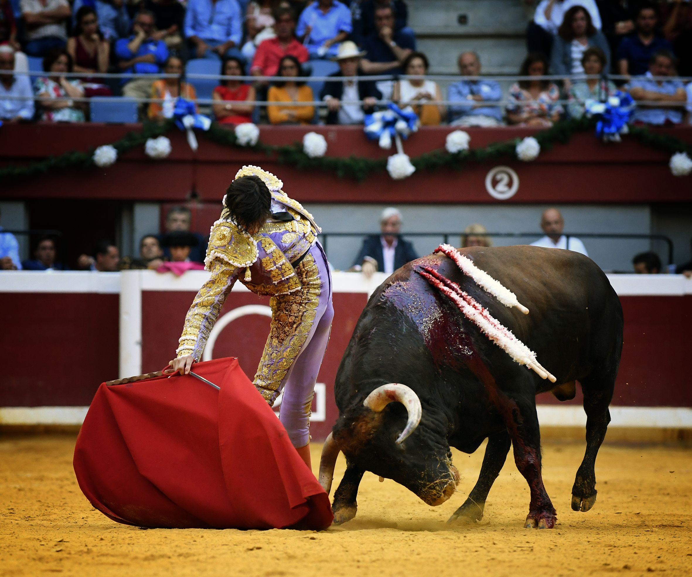 San Sebastián. Martes, 14 de agosto.