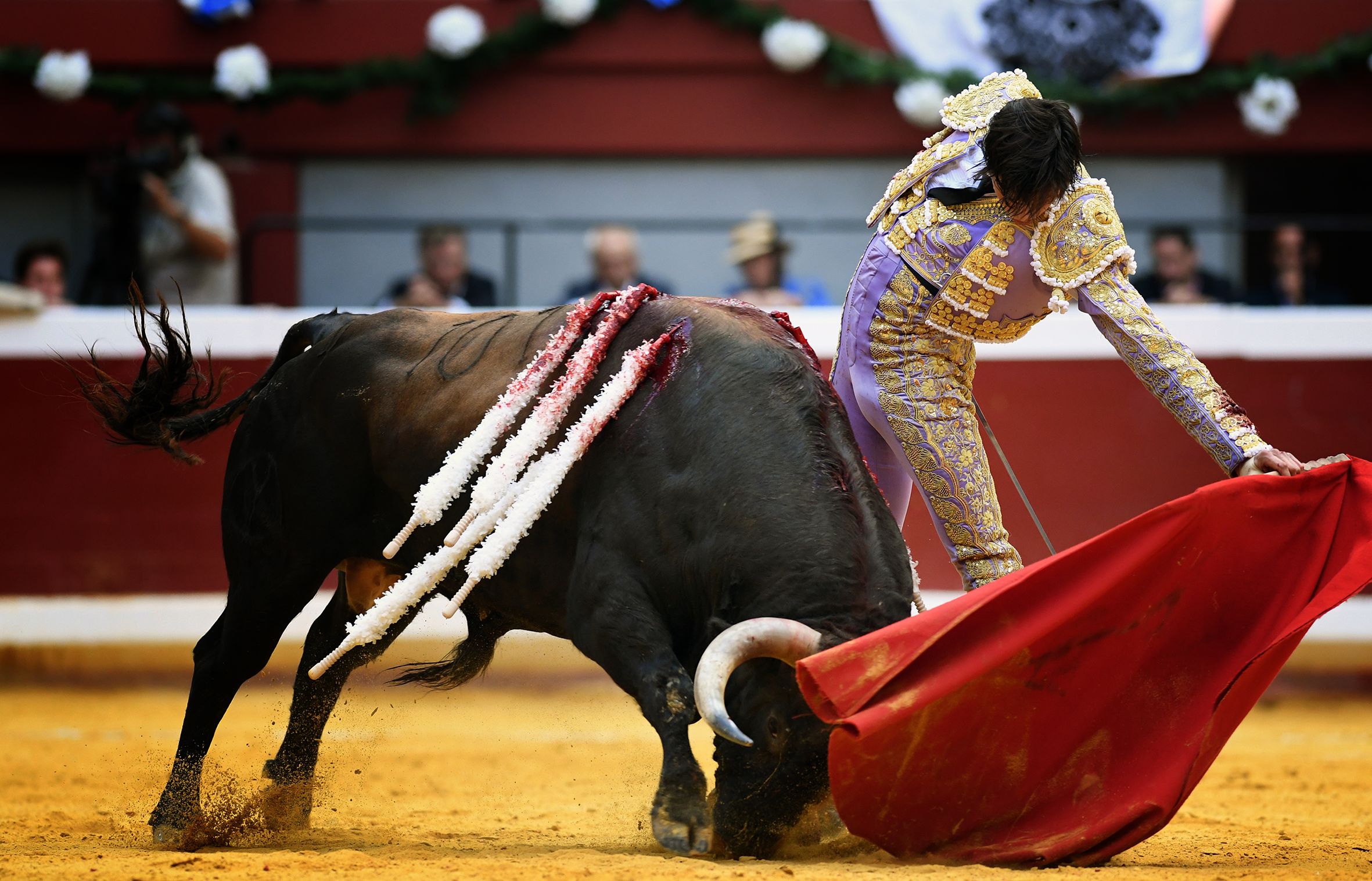 San Sebastián. Martes, 14 de agosto.