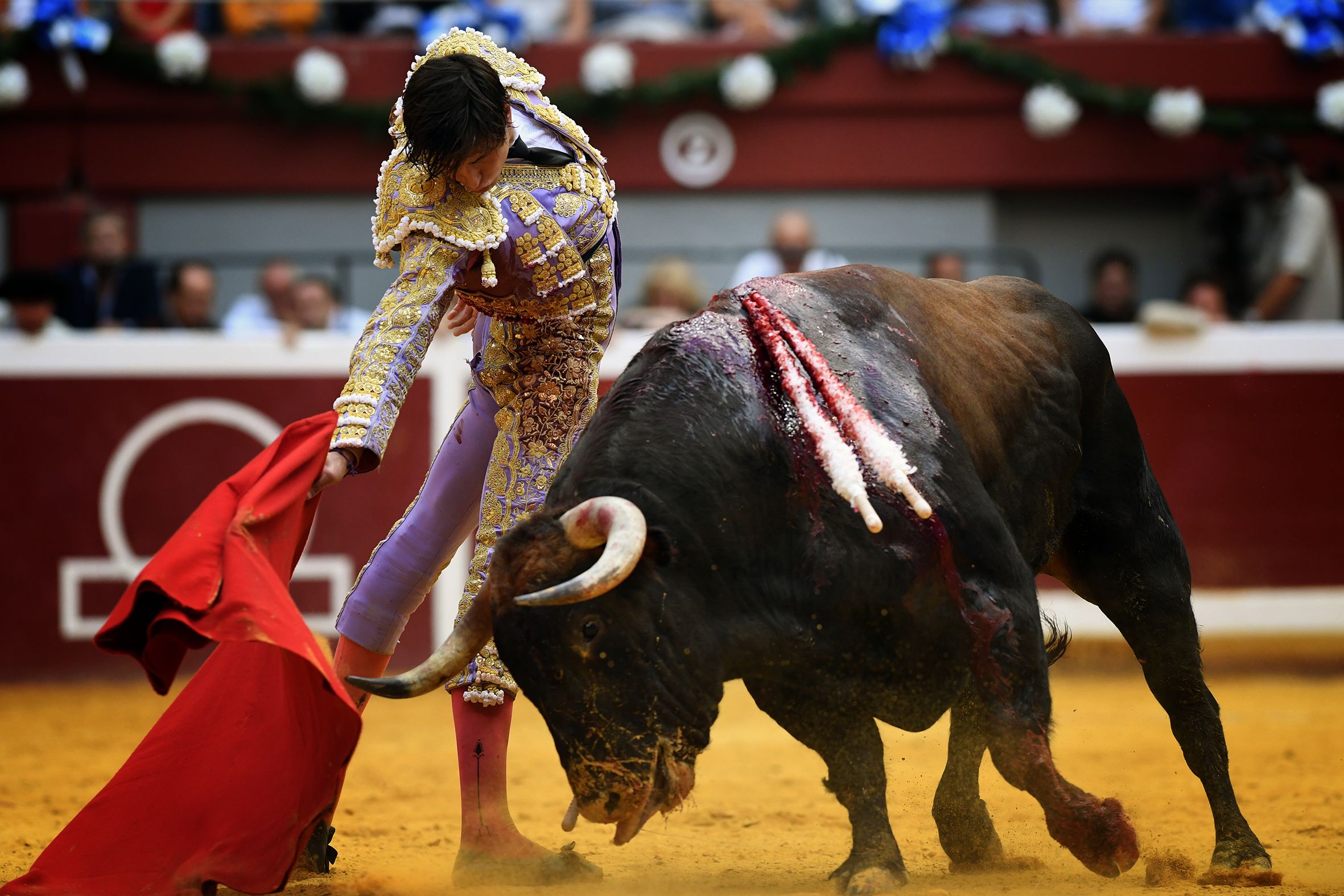 San Sebastián. Martes, 14 de agosto.