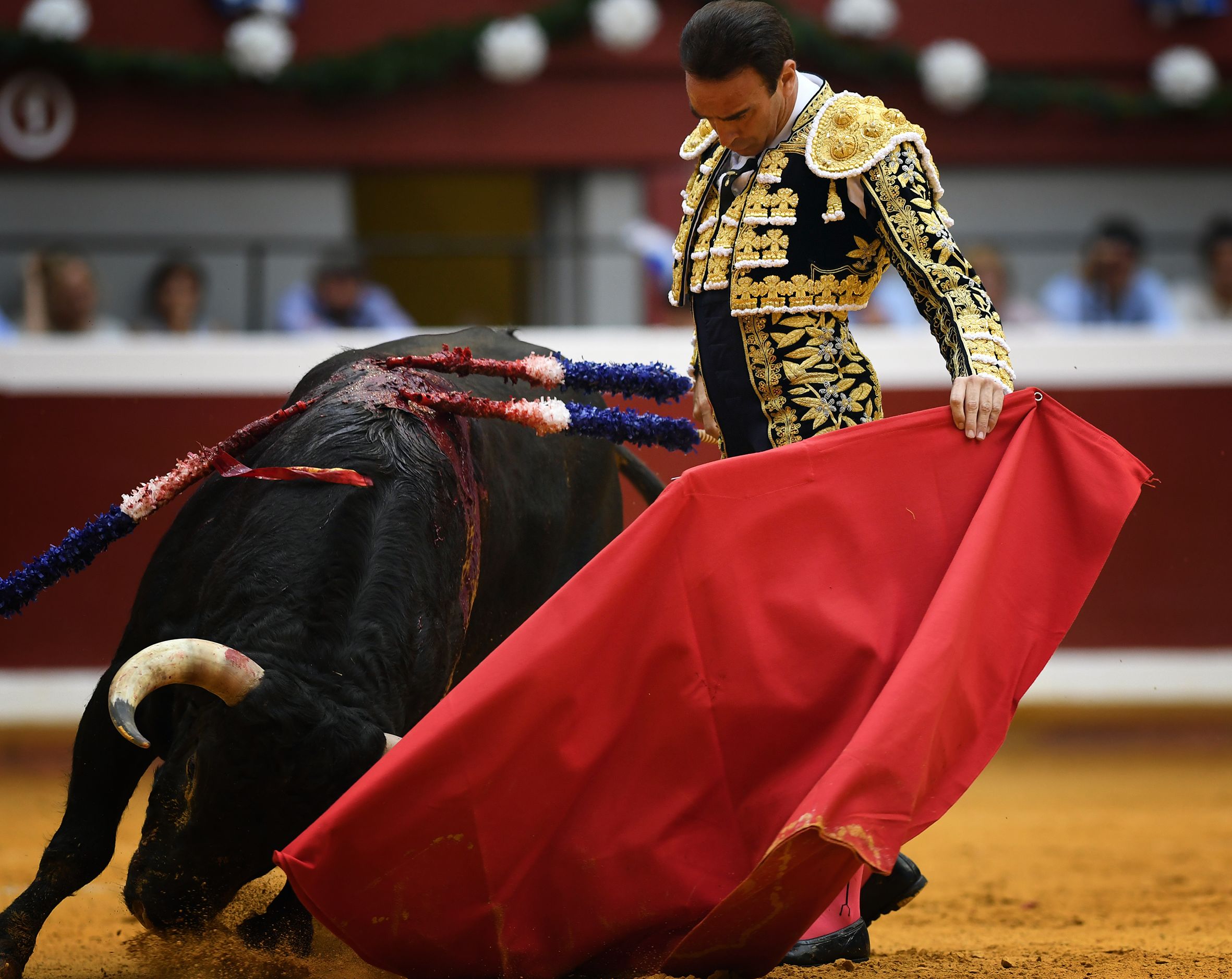 San Sebastián. Martes, 14 de agosto.