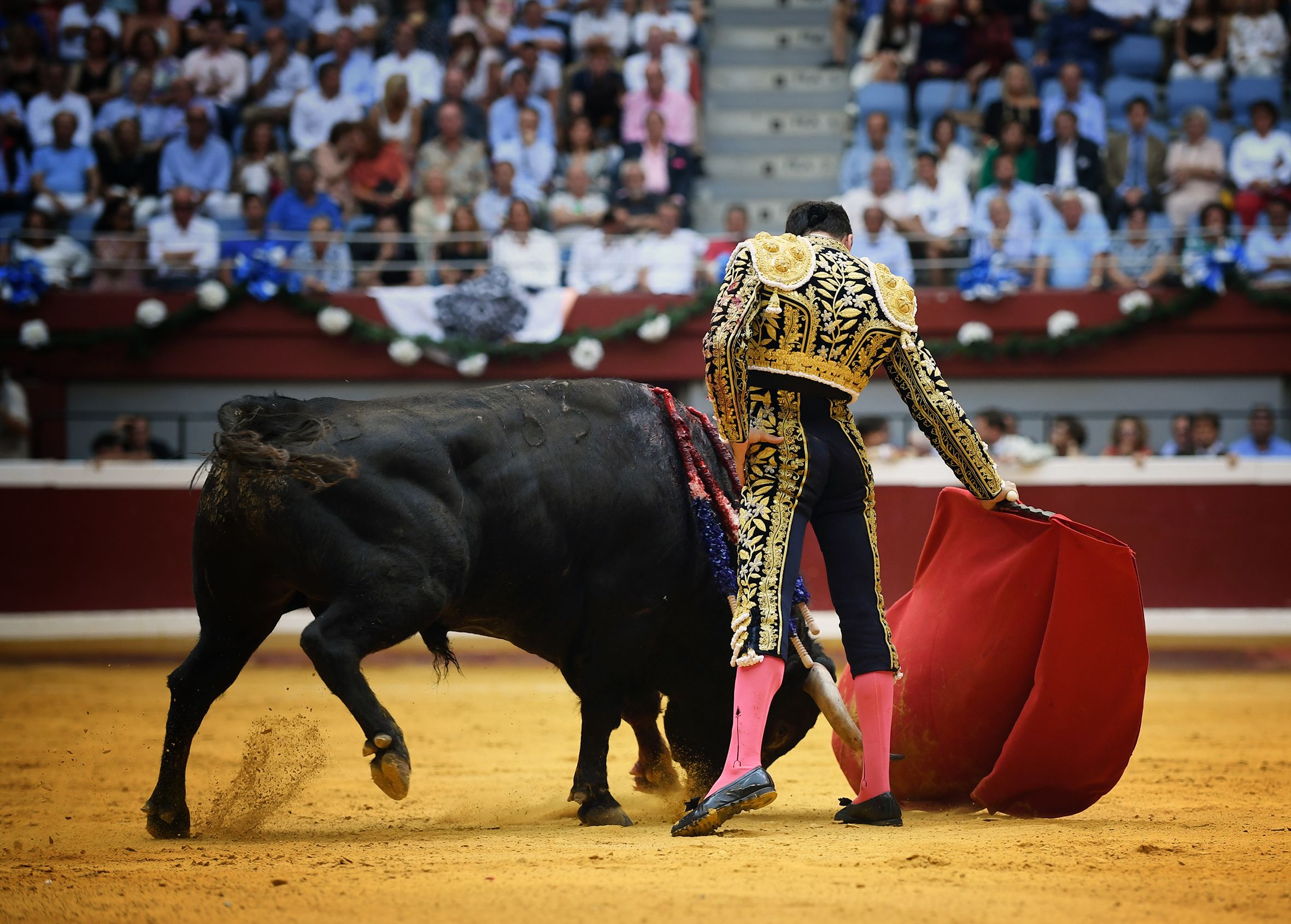 San Sebastián. Martes, 14 de agosto.