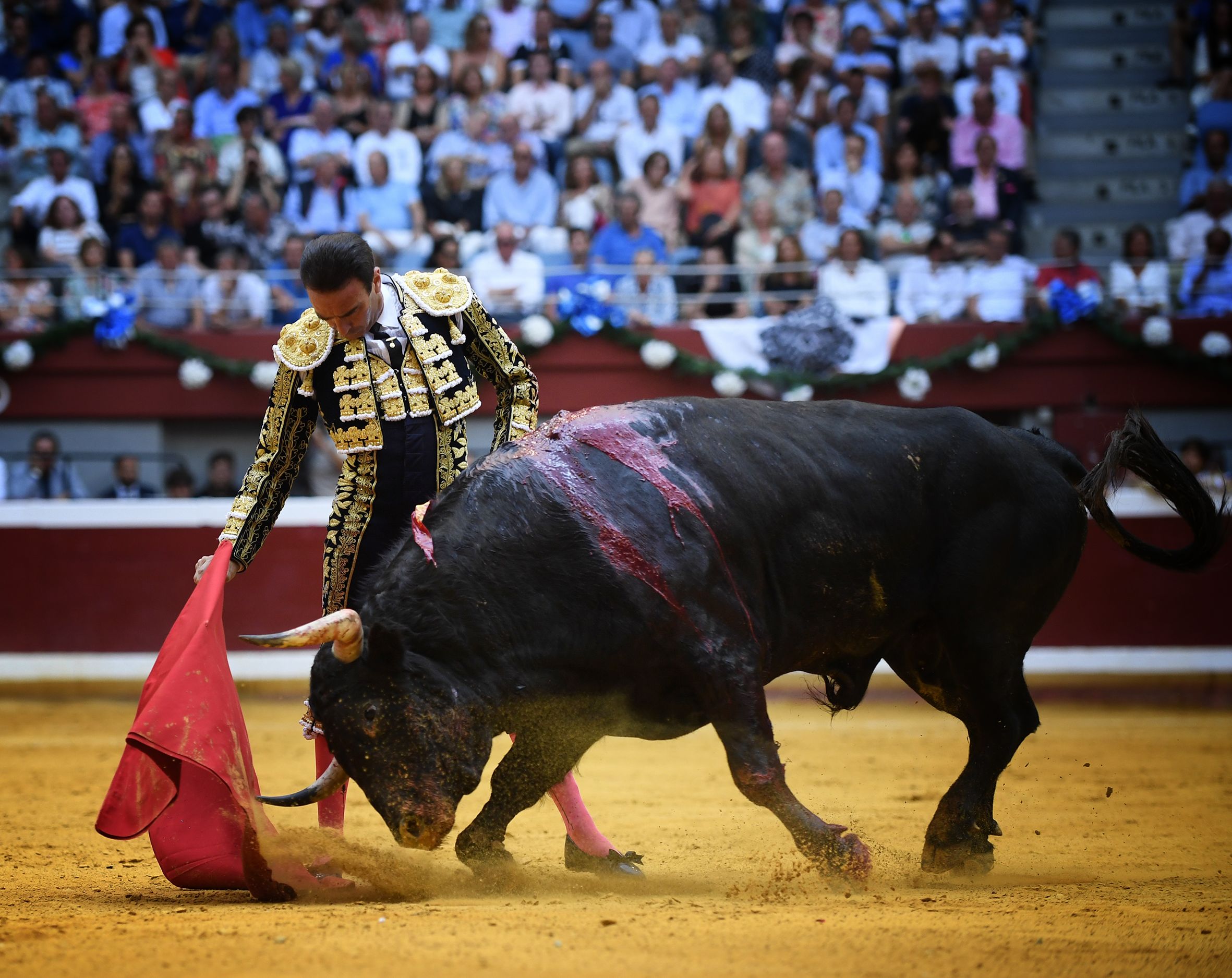San Sebastián. Martes, 14 de agosto.