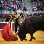 San Sebastián. Martes, 14 de agosto.
