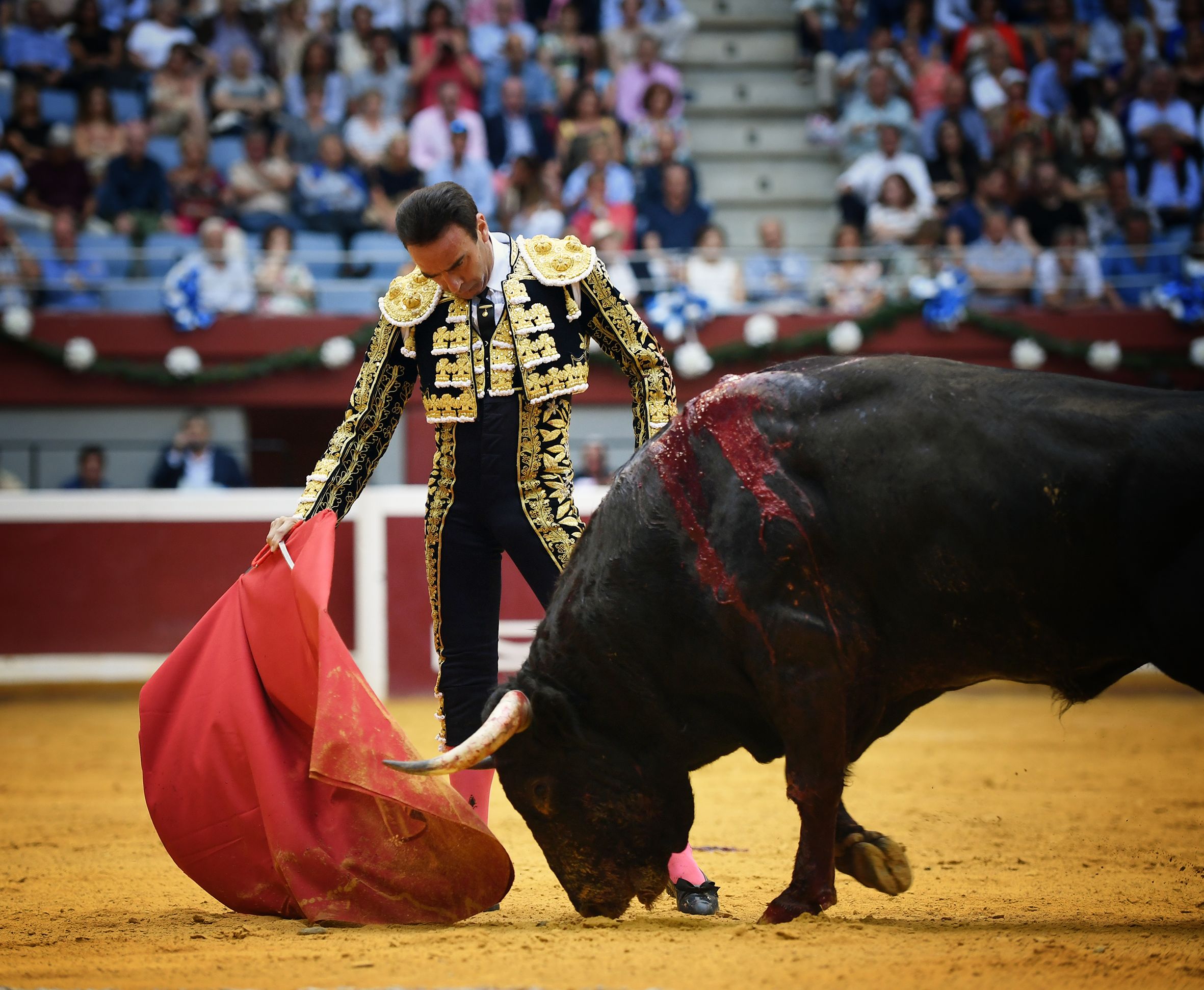 San Sebastián. Martes, 14 de agosto.