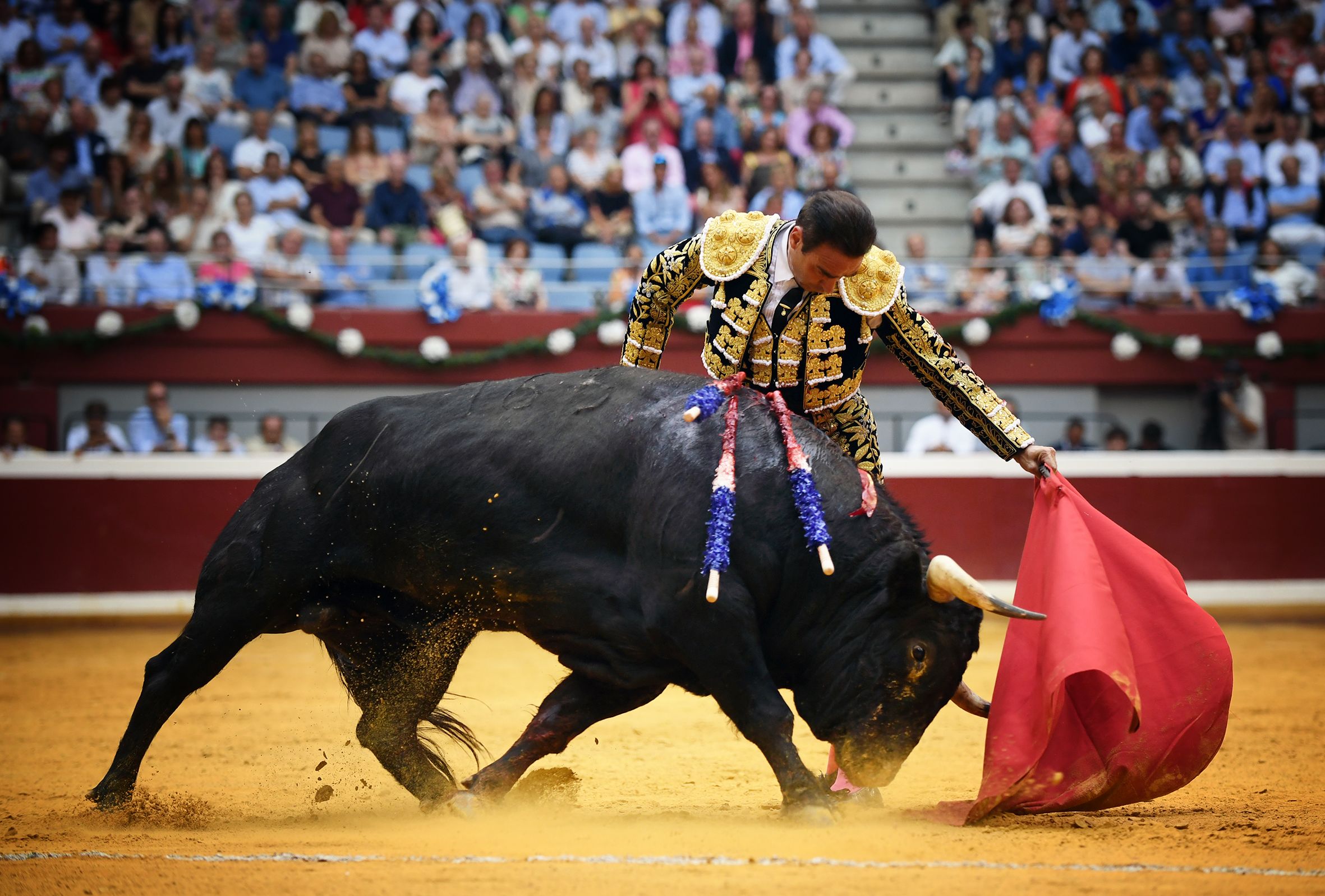 San Sebastián. Martes, 14 de agosto.