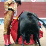 Pontevedra - Feria de la Peregrina - Sorteo - Domingo 5 de agosto de 2018