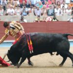 Pontevedra - Feria de la Peregrina - Sorteo - Domingo 5 de agosto de 2018