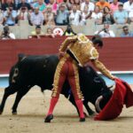 Pontevedra - Feria de la Peregrina - Sorteo - Domingo 5 de agosto de 2018