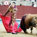 Pontevedra - Feria de la Peregrina - Sorteo - Domingo 5 de agosto de 2018
