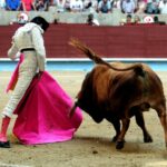 Pontevedra - Feria de la Peregrina - Sorteo - Domingo 5 de agosto de 2018