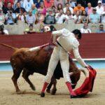 Pontevedra - Feria de la Peregrina - Sorteo - Domingo 5 de agosto de 2018