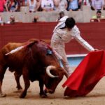 Pontevedra - Feria de la Peregrina - Sorteo - Domingo 5 de agosto de 2018