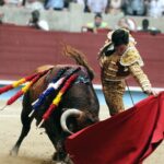 Pontevedra - Feria de la Peregrina - Sorteo - Domingo 5 de agosto de 2018