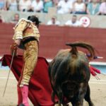 Pontevedra - Feria de la Peregrina - Sorteo - Domingo 5 de agosto de 2018