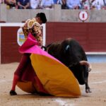 Pontevedra - Feria de la Peregrina - Sorteo - Domingo 5 de agosto de 2018