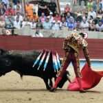 Pontevedra - Feria de la Peregrina - Sorteo - Domingo 5 de agosto de 2018