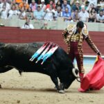 Pontevedra - Feria de la Peregrina - Sorteo - Domingo 5 de agosto de 2018
