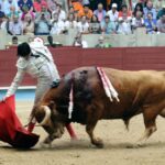 Pontevedra - Feria de la Peregrina - Sorteo - Domingo 5 de agosto de 2018