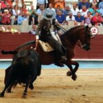 Pontevedra - Corrida de toros mixta - Sorteo - Sábado 11 de agosto de 2018