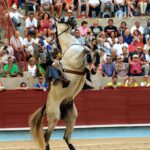 Pontevedra - Corrida de toros mixta - Sorteo - Sábado 11 de agosto de 2018