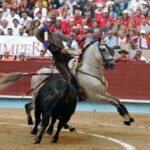 Pontevedra - Corrida de toros mixta - Sorteo - Sábado 11 de agosto de 2018