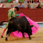 Pontevedra - Corrida de toros mixta - Sorteo - Sábado 11 de agosto de 2018