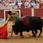 Pontevedra - Corrida de toros mixta - Sorteo - Sábado 11 de agosto de 2018