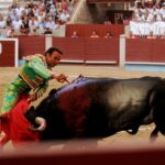 Pontevedra - Corrida de toros mixta - Sorteo - Sábado 11 de agosto de 2018