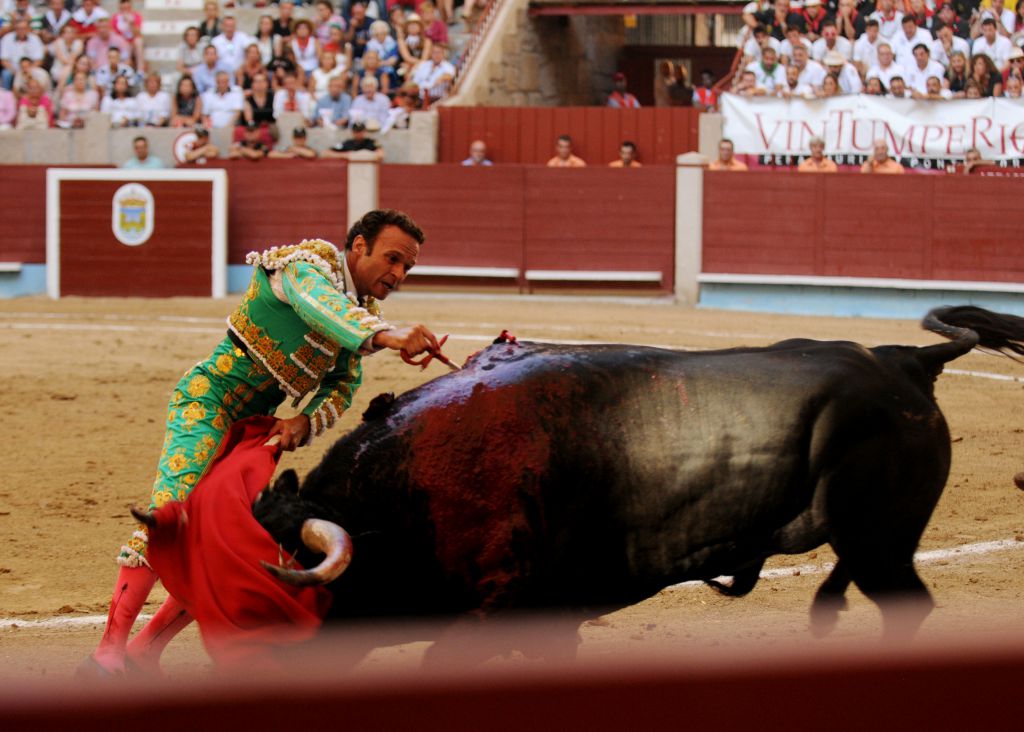 Pontevedra - Corrida de toros mixta - Sorteo - Sábado 11 de agosto de 2018