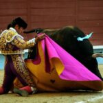 Pontevedra - Corrida de toros mixta - Sorteo - Sábado 11 de agosto de 2018