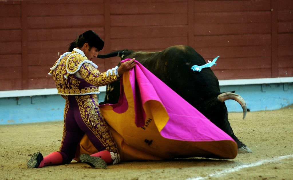 Pontevedra - Corrida de toros mixta - Sorteo - Sábado 11 de agosto de 2018