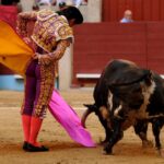 Pontevedra - Corrida de toros mixta - Sorteo - Sábado 11 de agosto de 2018