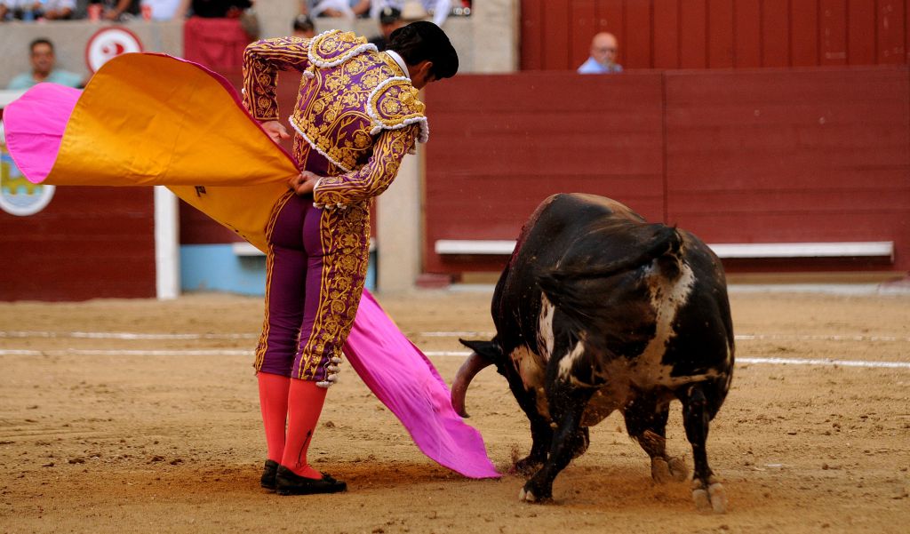 Pontevedra - Corrida de toros mixta - Sorteo - Sábado 11 de agosto de 2018